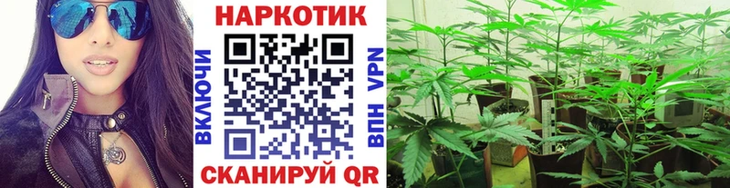 Купить закладку Сысерть Альфа ПВП  МАРИХУАНА  Мефедрон  Гашиш  Кокаин 