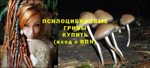 наркотики Ладушкин
